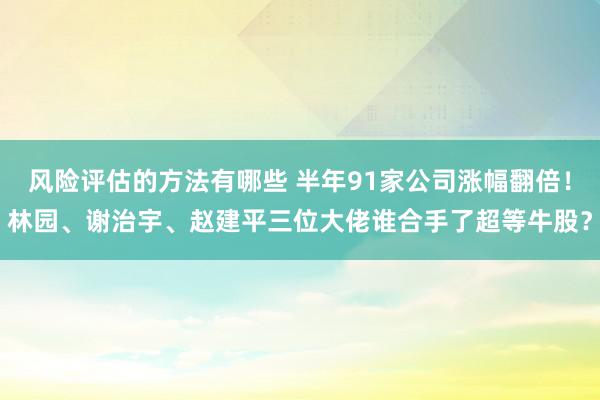 风险评估的方法有哪些 半年91家公司涨幅翻倍！林园、谢治宇、赵建平三位大佬谁合手了超等牛股？