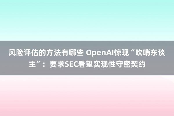 风险评估的方法有哪些 OpenAI惊现“吹哨东谈主”：要求SEC看望实现性守密契约