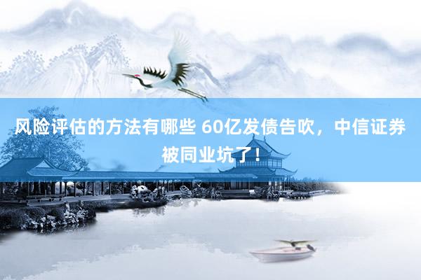 风险评估的方法有哪些 60亿发债告吹，中信证券被同业坑了！