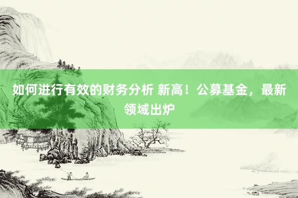 如何进行有效的财务分析 新高！公募基金，最新领域出炉