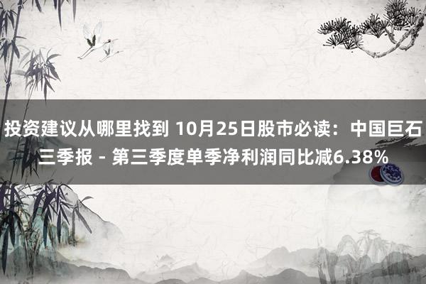 投资建议从哪里找到 10月25日股市必读：中国巨石三季报 - 第三季度单季净利润同比减6.38%