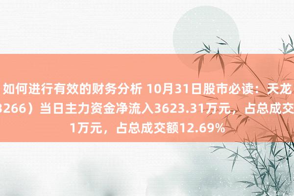 如何进行有效的财务分析 10月31日股市必读：天龙股份（603266）当日主力资金净流入3623.31万元，占总成交额12.69%