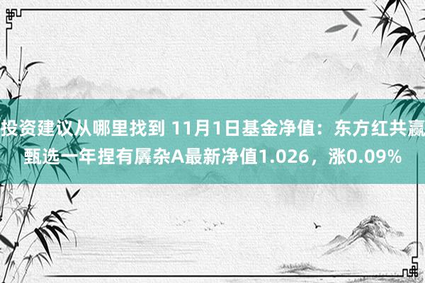 投资建议从哪里找到 11月1日基金净值：东方红共赢甄选一年捏有羼杂A最新净值1.026，涨0.09%