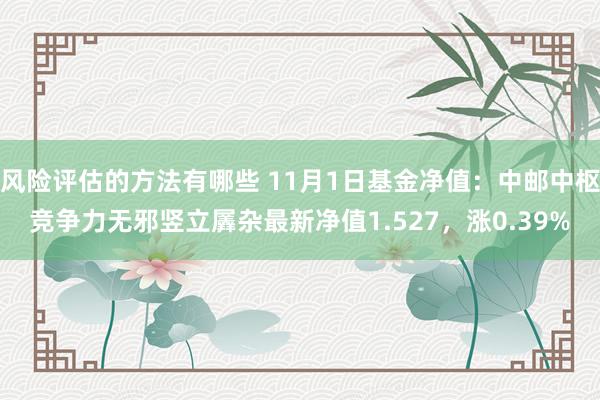 风险评估的方法有哪些 11月1日基金净值：中邮中枢竞争力无邪竖立羼杂最新净值1.527，涨0.39%