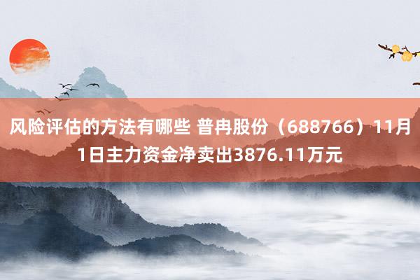 风险评估的方法有哪些 普冉股份（688766）11月1日主力资金净卖出3876.11万元