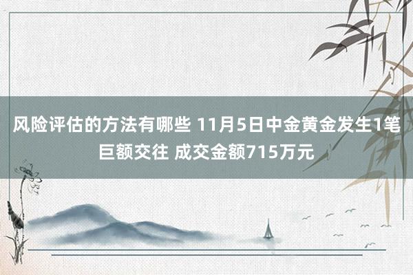 风险评估的方法有哪些 11月5日中金黄金发生1笔巨额交往 成交金额715万元