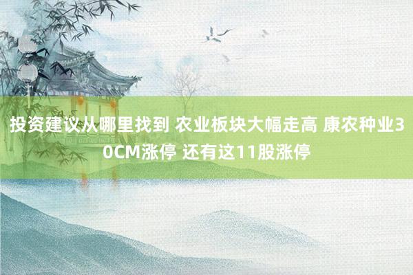 投资建议从哪里找到 农业板块大幅走高 康农种业30CM涨停 还有这11股涨停