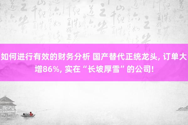 如何进行有效的财务分析 国产替代正统龙头, 订单大增86%, 实在“长坡厚雪”的公司!