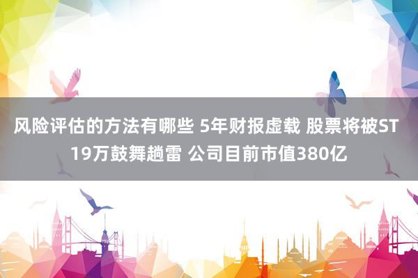 风险评估的方法有哪些 5年财报虚载 股票将被ST 19万鼓舞趟雷 公司目前市值380亿