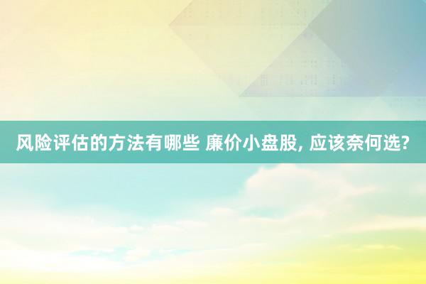 风险评估的方法有哪些 廉价小盘股, 应该奈何选?