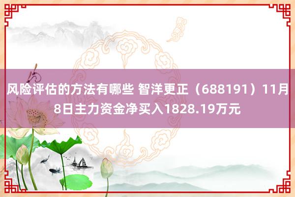 风险评估的方法有哪些 智洋更正（688191）11月8日主力资金净买入1828.19万元