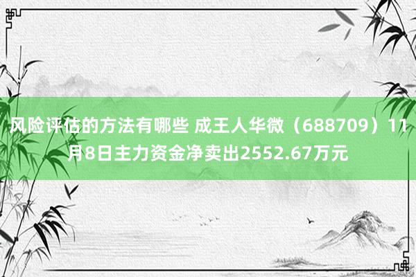 风险评估的方法有哪些 成王人华微（688709）11月8日主力资金净卖出2552.67万元