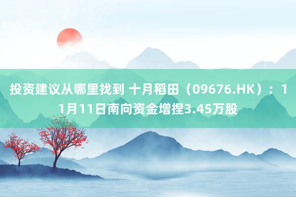 投资建议从哪里找到 十月稻田（09676.HK）：11月11日南向资金增捏3.45万股