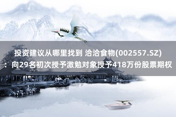 投资建议从哪里找到 洽洽食物(002557.SZ)：向29名初次授予激勉对象授予418万份股票期权