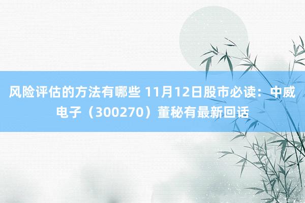 风险评估的方法有哪些 11月12日股市必读：中威电子（300270）董秘有最新回话