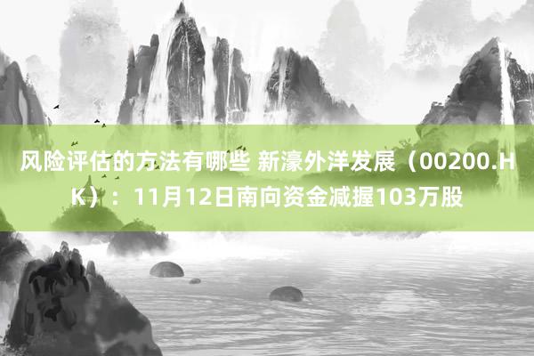 风险评估的方法有哪些 新濠外洋发展（00200.HK）：11月12日南向资金减握103万股