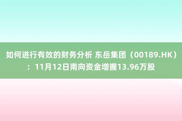 如何进行有效的财务分析 东岳集团（00189.HK）：11月12日南向资金增握13.96万股