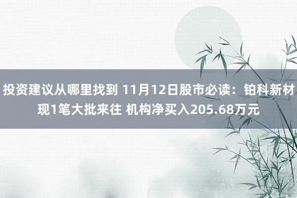 投资建议从哪里找到 11月12日股市必读：铂科新材现1笔大批来往 机构净买入205.68万元