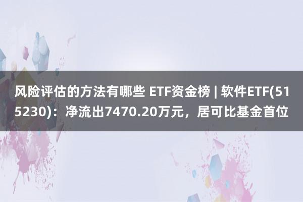 风险评估的方法有哪些 ETF资金榜 | 软件ETF(515230)：净流出7470.20万元，居可比基金首位