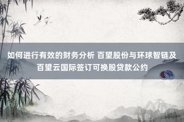 如何进行有效的财务分析 百望股份与环球智链及百望云国际签订可换股贷款公约