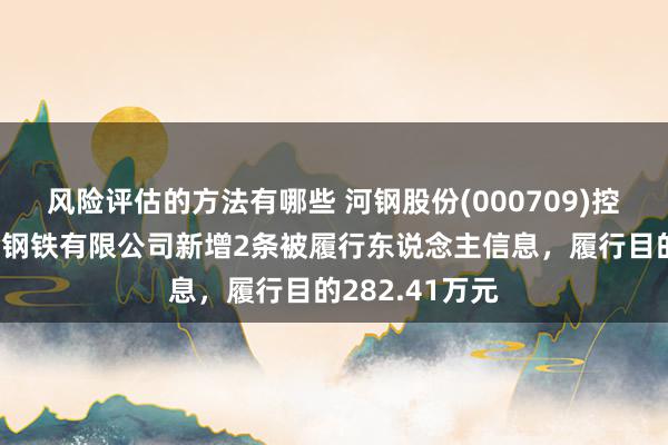 风险评估的方法有哪些 河钢股份(000709)控股的河钢乐亭钢铁有限公司新增2条被履行东说念主信息，履行目的282.41万元