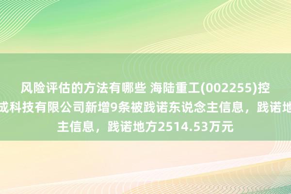 风险评估的方法有哪些 海陆重工(002255)控股的宁夏江南集成科技有限公司新增9条被践诺东说念主信息，践诺地方2514.53万元