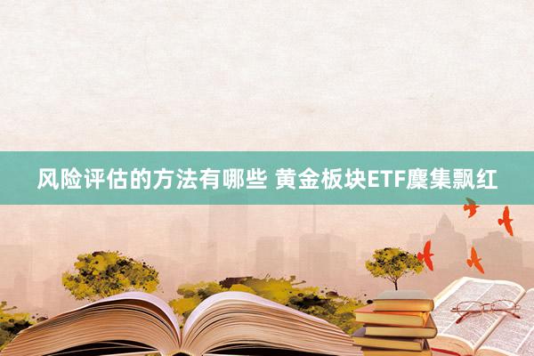 风险评估的方法有哪些 黄金板块ETF麇集飘红