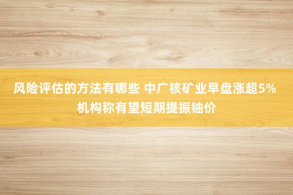 风险评估的方法有哪些 中广核矿业早盘涨超5% 机构称有望短期提振铀价