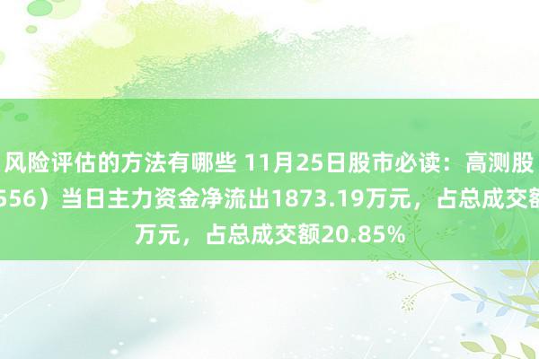 风险评估的方法有哪些 11月25日股市必读：高测股份（688556）当日主力资金净流出1873.19万元，占总成交额20.85%