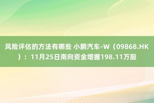 风险评估的方法有哪些 小鹏汽车-W（09868.HK）：11月25日南向资金增握198.11万股