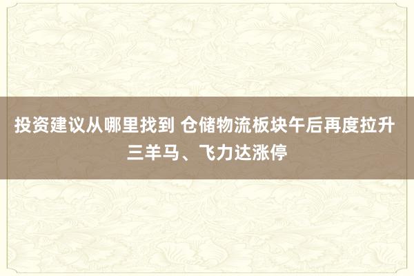 投资建议从哪里找到 仓储物流板块午后再度拉升 三羊马、飞力达涨停