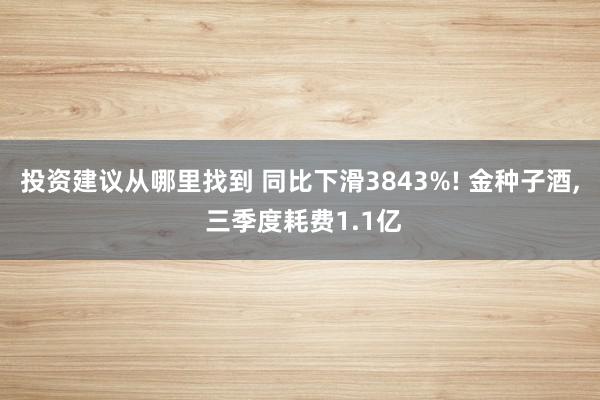 投资建议从哪里找到 同比下滑3843%! 金种子酒, 三季度耗费1.1亿