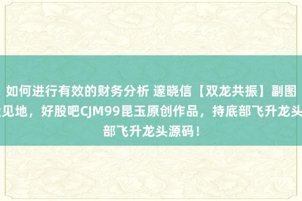 如何进行有效的财务分析 邃晓信【双龙共振】副图+选股见地，好股吧CJM99昆玉原创作品，持底部飞升龙头源码！