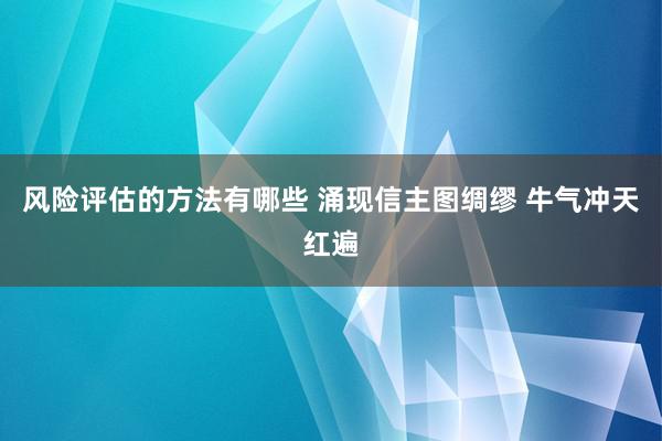 风险评估的方法有哪些 涌现信主图绸缪 牛气冲天红遍