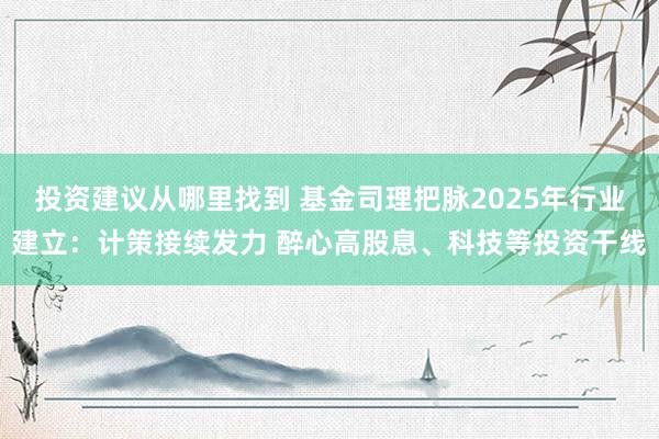 投资建议从哪里找到 基金司理把脉2025年行业建立：计策接续发力 醉心高股息、科技等投资干线