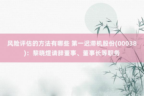 风险评估的方法有哪些 第一迟滞机股份(00038)：黎晓煜请辞董事、董事长等职务