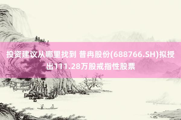 投资建议从哪里找到 普冉股份(688766.SH)拟授出111.28万股戒指性股票