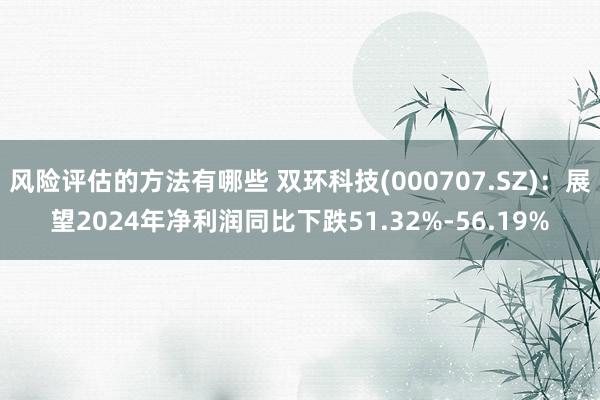 风险评估的方法有哪些 双环科技(000707.SZ)：展望2024年净利润同比下跌51.32%-56.19%