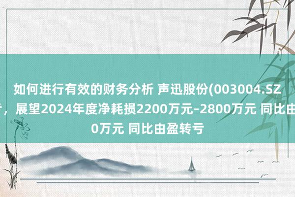 如何进行有效的财务分析 声迅股份(003004.SZ)发预亏，展望2024年度净耗损2200万元–2800万元 同比由盈转亏