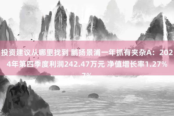 投资建议从哪里找到 鹏扬景浦一年抓有夹杂A：2024年第四季度利润242.47万元 净值增长率1.27%