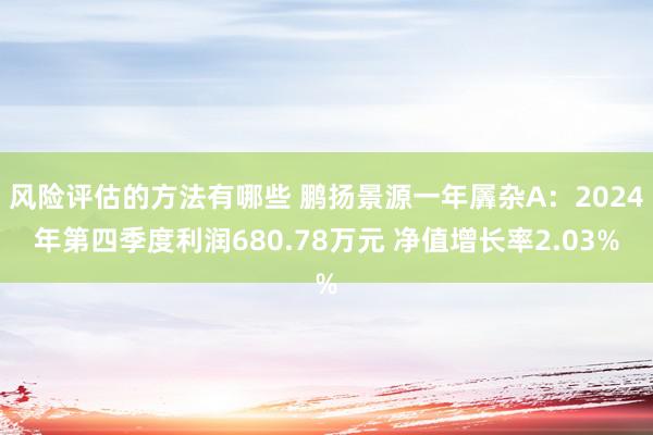 风险评估的方法有哪些 鹏扬景源一年羼杂A：2024年第四季度利润680.78万元 净值增长率2.03%