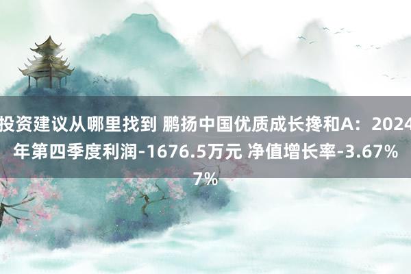 投资建议从哪里找到 鹏扬中国优质成长搀和A：2024年第四季度利润-1676.5万元 净值增长率-3.67%