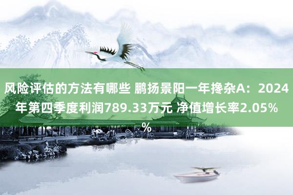 风险评估的方法有哪些 鹏扬景阳一年搀杂A：2024年第四季度利润789.33万元 净值增长率2.05%