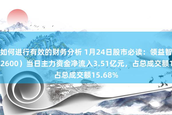 如何进行有效的财务分析 1月24日股市必读：领益智造（002600）当日主力资金净流入3.51亿元，占总成交额15.68%