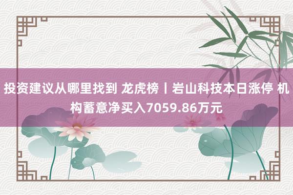 投资建议从哪里找到 龙虎榜丨岩山科技本日涨停 机构蓄意净买入7059.86万元