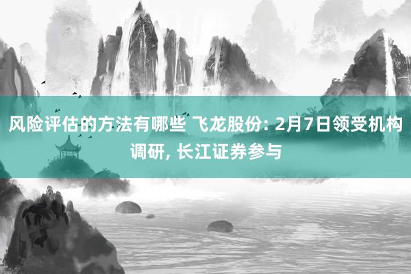 风险评估的方法有哪些 飞龙股份: 2月7日领受机构调研, 长江证券参与