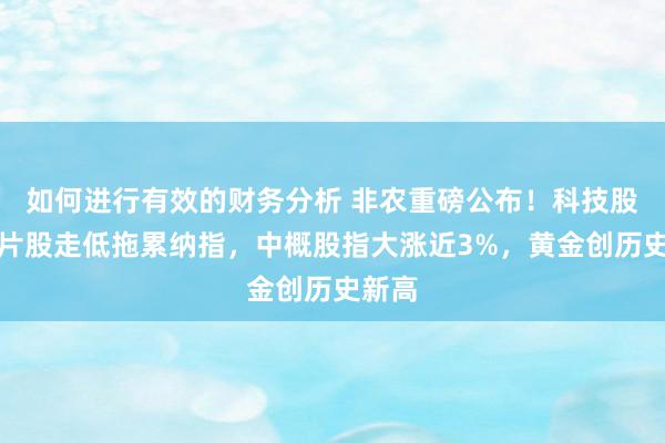 如何进行有效的财务分析 非农重磅公布！科技股、芯片股走低拖累纳指，中概股指大涨近3%，黄金创历史新高