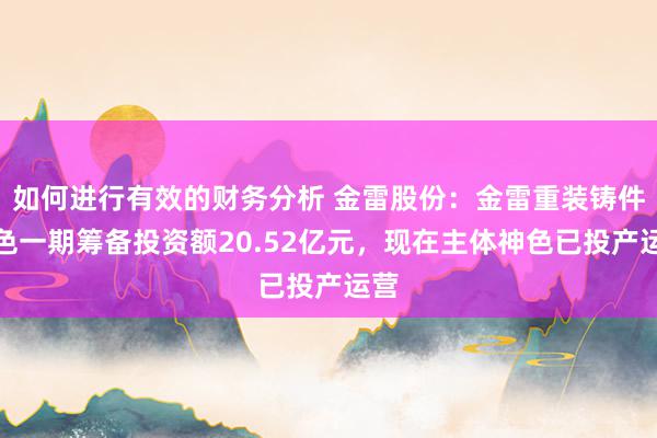 如何进行有效的财务分析 金雷股份：金雷重装铸件神色一期筹备投资额20.52亿元，现在主体神色已投产运营