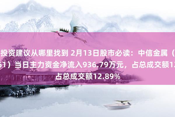 投资建议从哪里找到 2月13日股市必读：中信金属（601061）当日主力资金净流入936.79万元，占总成交额12.89%