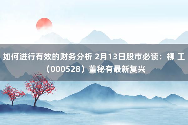 如何进行有效的财务分析 2月13日股市必读：柳 工（000528）董秘有最新复兴